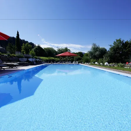 戴恩英格尔酒店