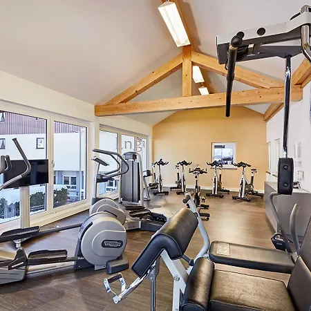 酒店 戴恩英格尔酒店 4*